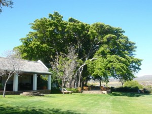 AFRIKA 2011 395