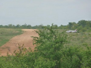 Motswari-2