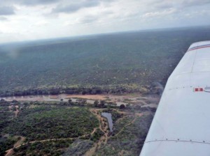 Verso Motswari sulla savana